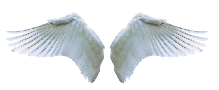 engelen vleugels