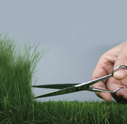 perfectionisme-gras