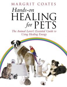 voorkant van het boek Hands-on healing for petes van Margrit Coates