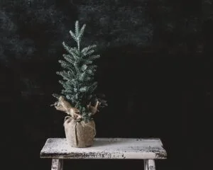 kerstboom