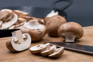 paddestoelen