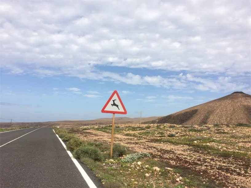 geitenbord Fuerteventura