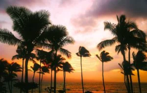 zonsondergang op Hawaii met palmbomen