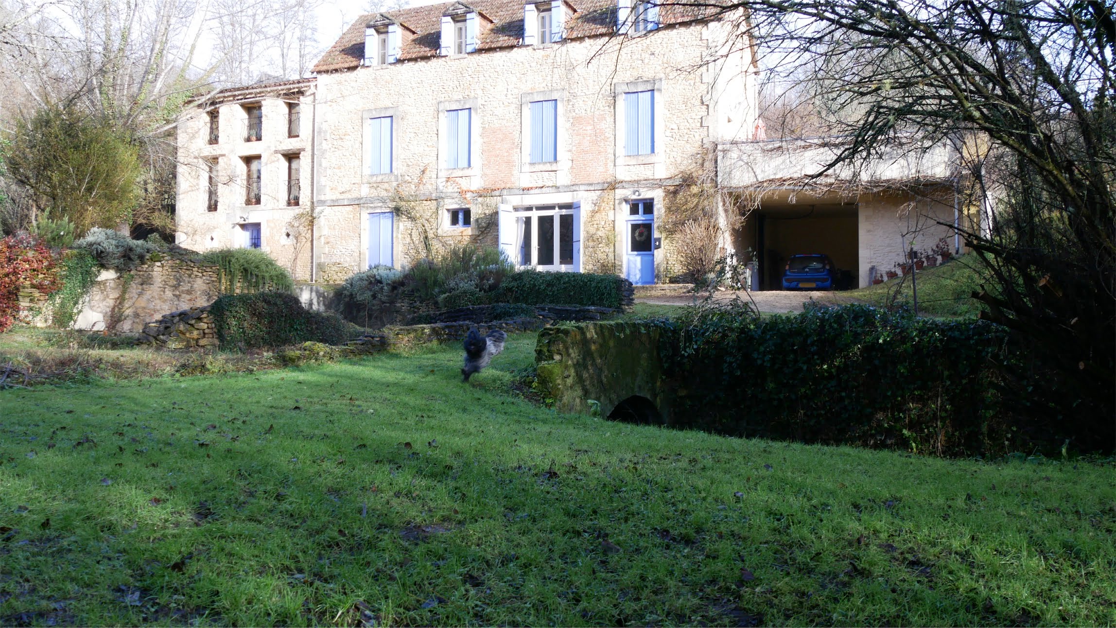 Schapendoes Otje rent in de tuin voor een huis in de Dordogne