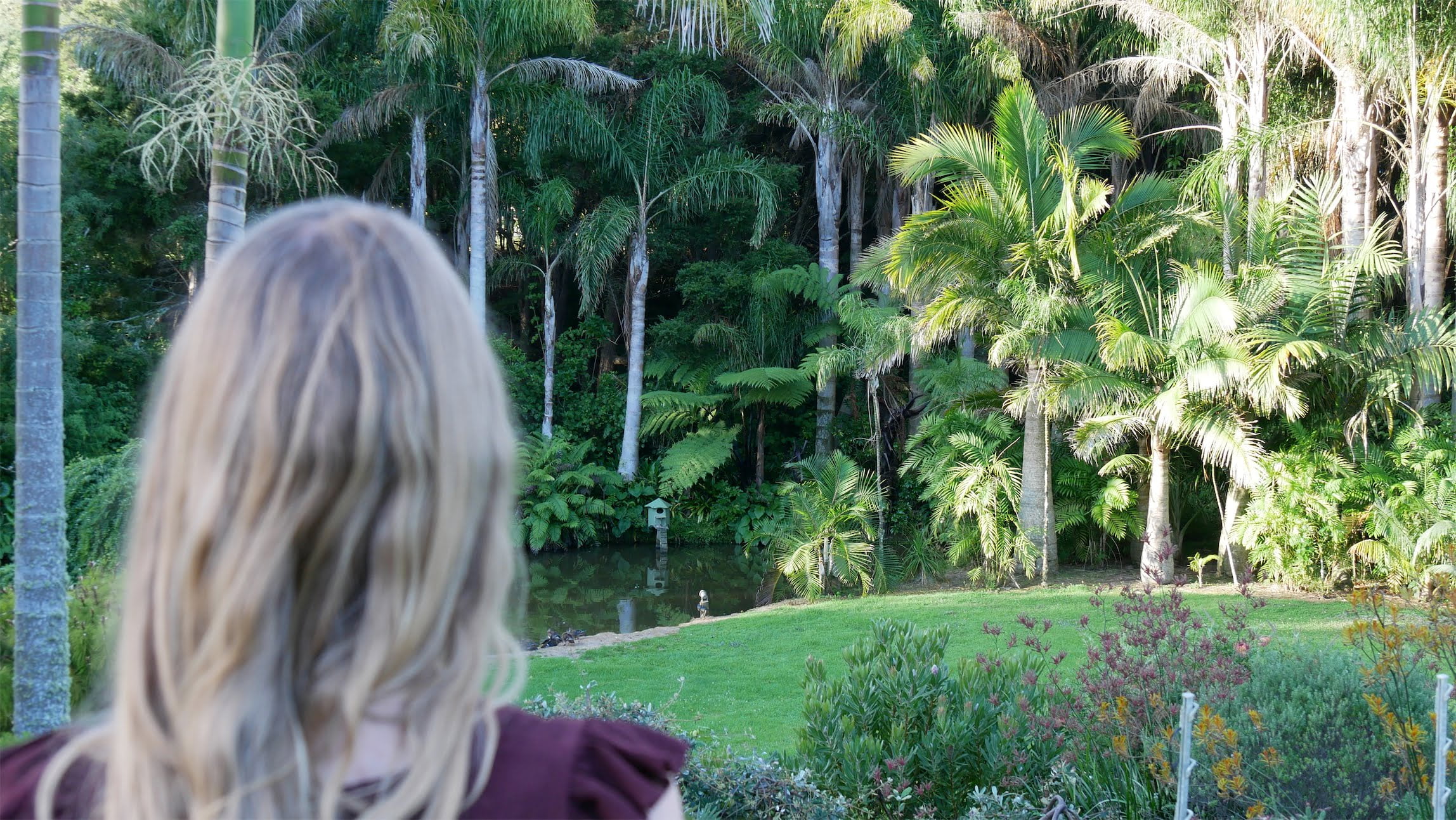 Femke de Grijs kijkt naar palmbomen in Whangarei