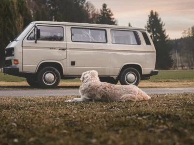 hond ligt voor camperbusje