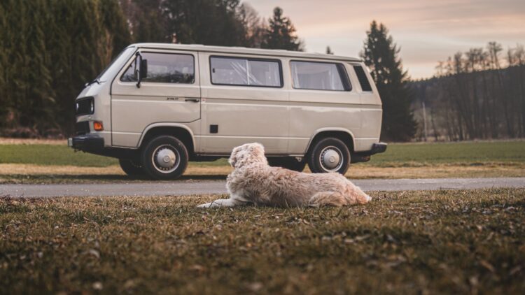 hond ligt voor camperbusje
