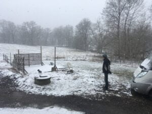 Schapendoes pup met Mathijs van der Beek in sneeuw