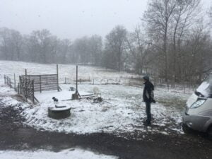 Schapendoes puppy with Mathijs van der Beek in snow