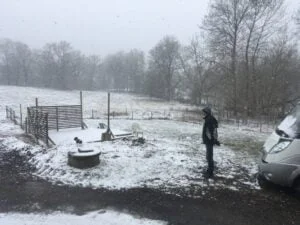 Schapendoes pup met Mathijs van der Beek in sneeuw