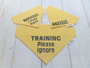 honden bandana met de tekst: Training Please Ignore