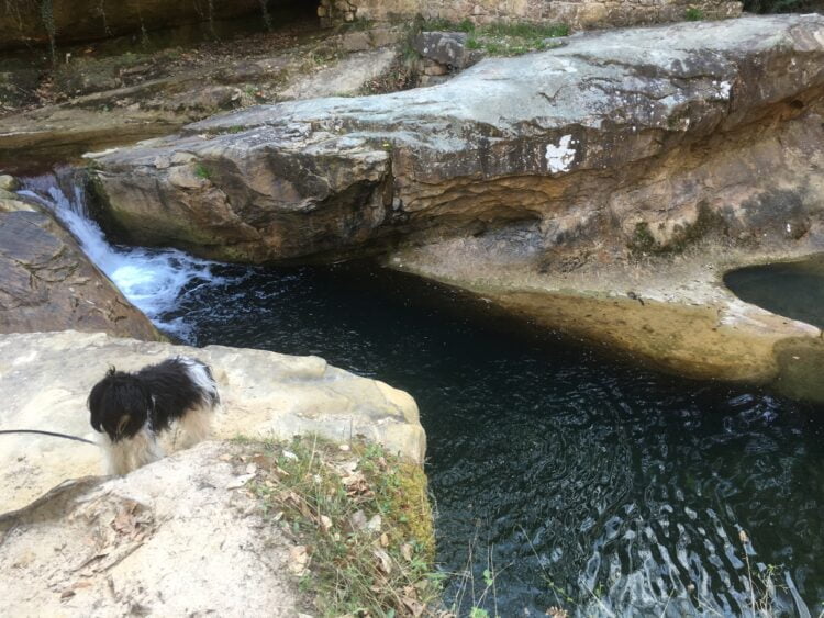 La Fontaine des Amours in Rennes-les-Bains: waterval met Schapendoes Juultje