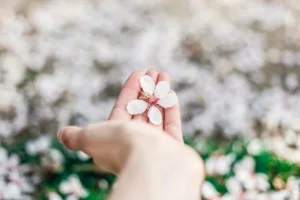 bloem in hand