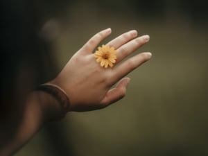 bloem in de vorm van ring