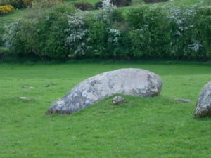 Athgreany stone circle: steen uit de cirkel