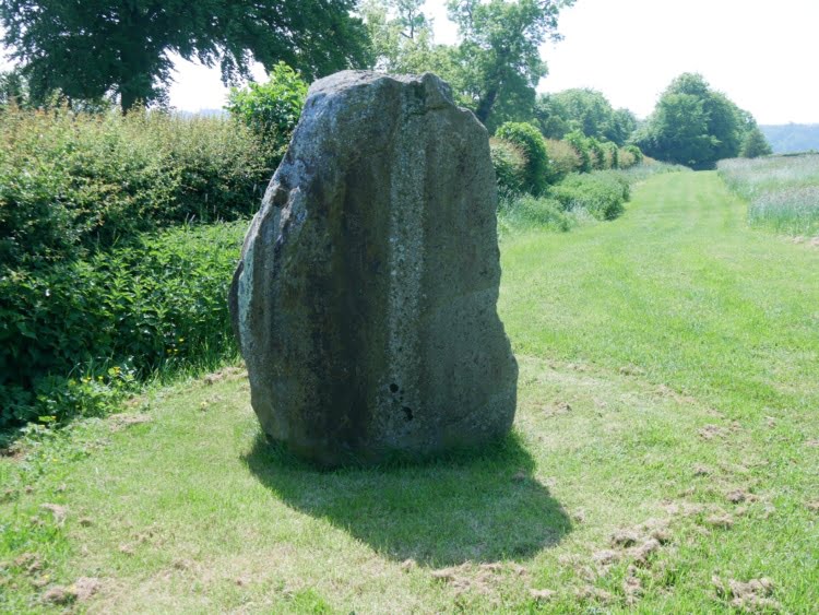 steen die is gevonden bij Dowth staat bij Newgrange