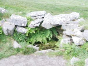 Drombeg stone circle bron met varens