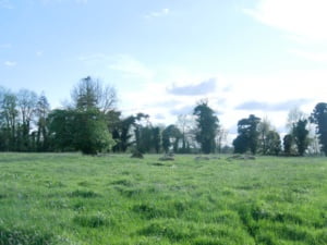 steencirkel Lough Gur