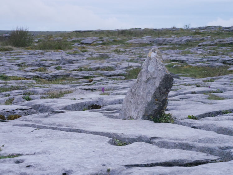 Poulnabrone dolmen staande steen bij de dolmen