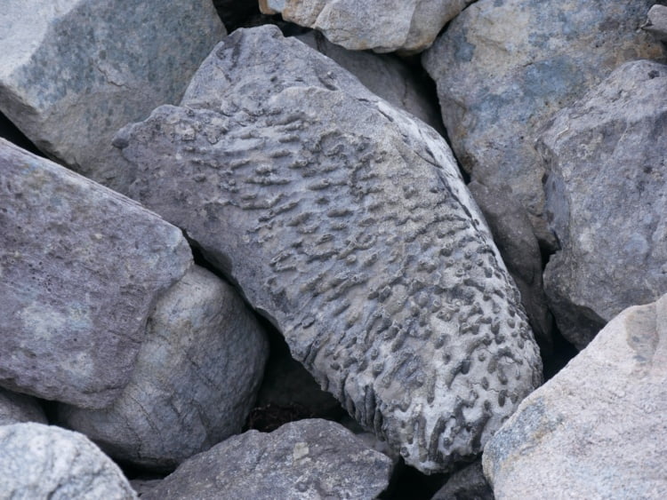 Queen Maeve's cairn steen